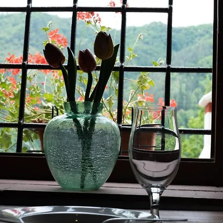 Casa Della Fragolina Barga