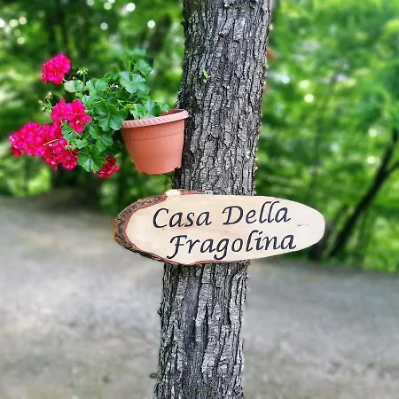 Πανσιόν Casa Della Fragolina Barga